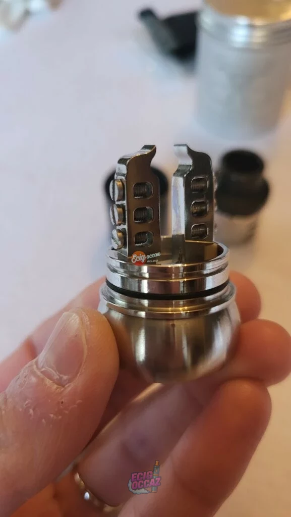 So Horney V2 RDA Wild Bulls Productions by Ross Nadal