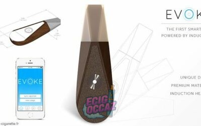 En Thaïlande, une application facilite la dénonciation des utilisateurs de cigarettes électroniques
