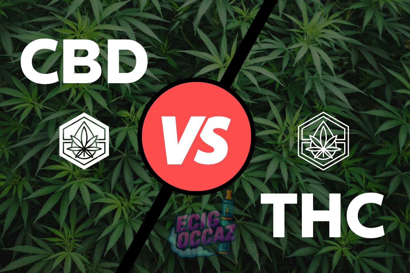 découvrez la vérité sur le cbd et ses effets. est-ce vraiment une drogue ? informez-vous sur les différences entre le cbd et le thc, ses utilisations thérapeutiques et les mythes qui l'entourent.