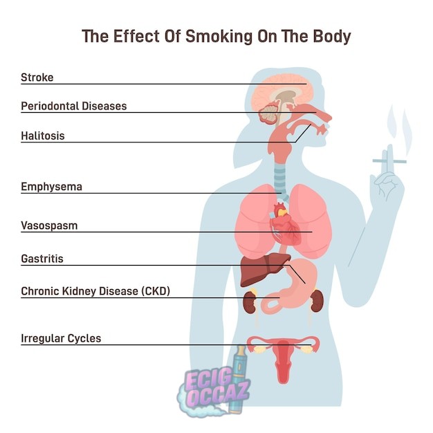 découvrez les principaux dangers pour la santé liés au tabagisme : effets du tabac sur le corps, maladies associées, risques à court et long terme et conseils pour protéger votre santé face au tabac.