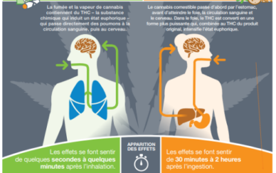 Focus sur l’impact du cannabis pendant la grossesse et l’allaitement