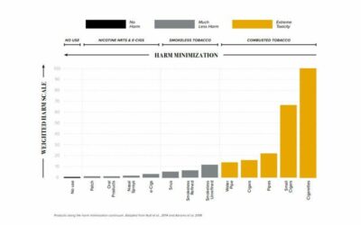 La Suède fait un pas décisif vers un avenir presque sans tabac