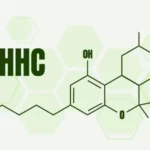 Interdiction du HHC : Le cannabis synthétique ne sera plus légal en France