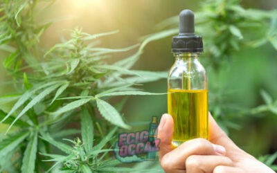 Comment maîtriser les risques liés à l’usage du CBD ?