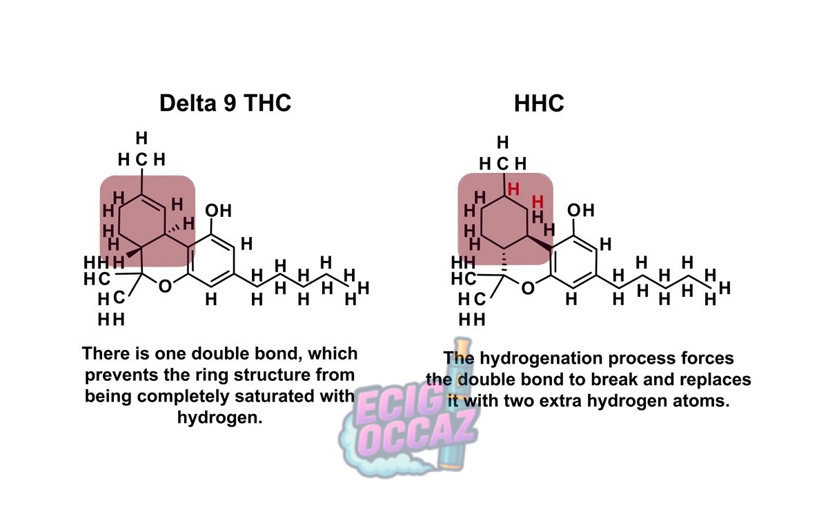 découvrez les différences essentielles entre le hhc et le cbd : effets, usages, légalité et bienfaits pour mieux choisir le produit adapté à vos besoins.