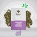 découvrez qui sont les principaux bénéficiaires de l'infusion cbd, ses avantages et pour quelles personnes cette boisson bien-être est particulièrement recommandée.