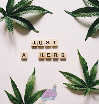 découvrez les bienfaits des infusions au cbd : détente, soulagement du stress, amélioration du sommeil et bien-être naturel au quotidien. tout ce qu'il faut savoir sur les infusions cbd et leurs vertus pour votre santé.
