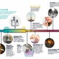 découvrez les dangers potentiels des puffs pour la santé : effets sur les poumons, risques liés à la nicotine et conseils pour une consommation responsable.