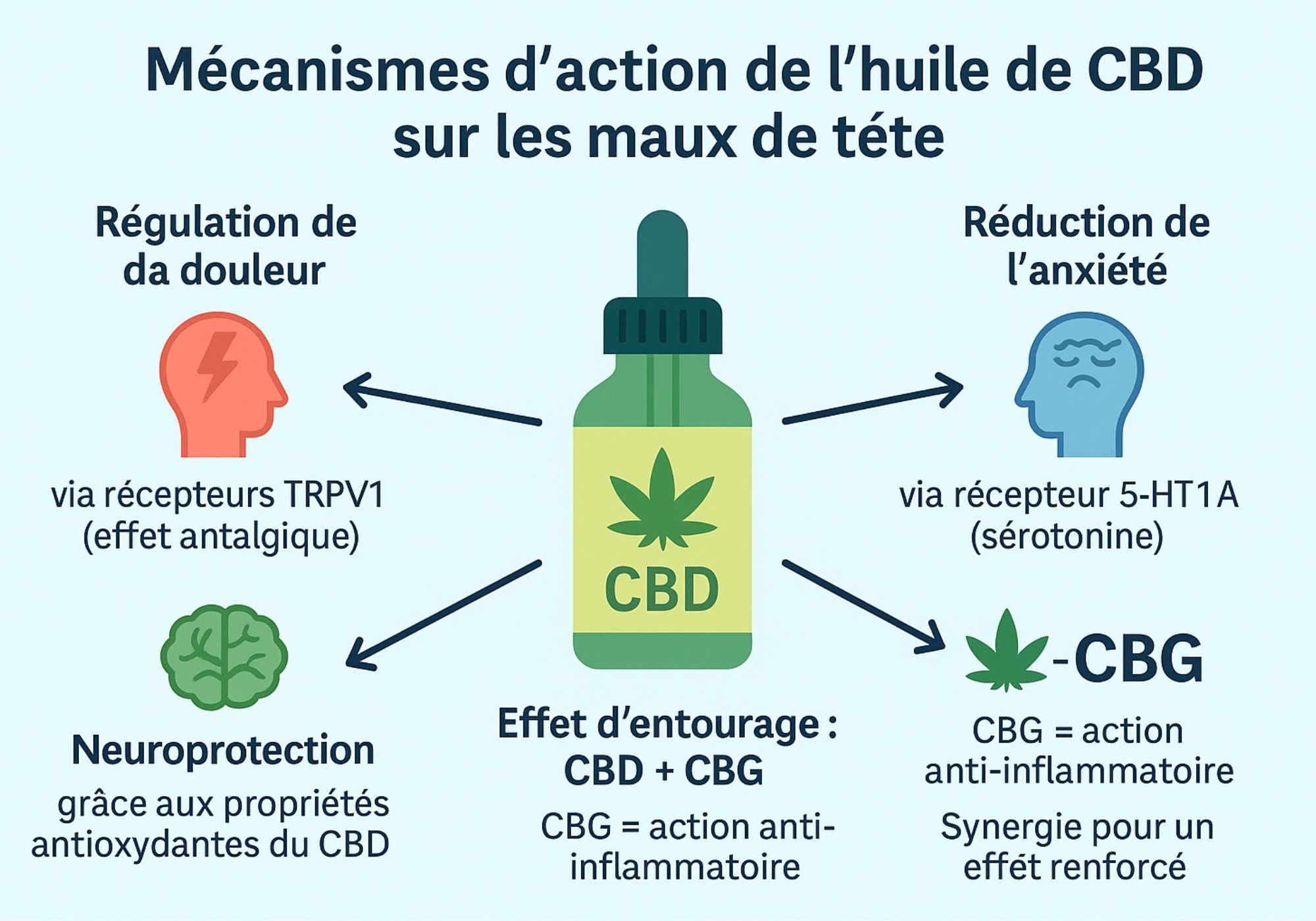 découvrez les bienfaits de l'huile de cbd : détente, réduction du stress, sommeil amélioré et soulagement des douleurs. apprenez comment l'huile de cbd peut améliorer votre bien-être au quotidien.