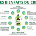 découvrez les bienfaits de l'huile de cbd : propriétés apaisantes, soulagement du stress, amélioration du sommeil et bien plus. informez-vous sur ses usages et ses avantages pour le bien-être au quotidien.