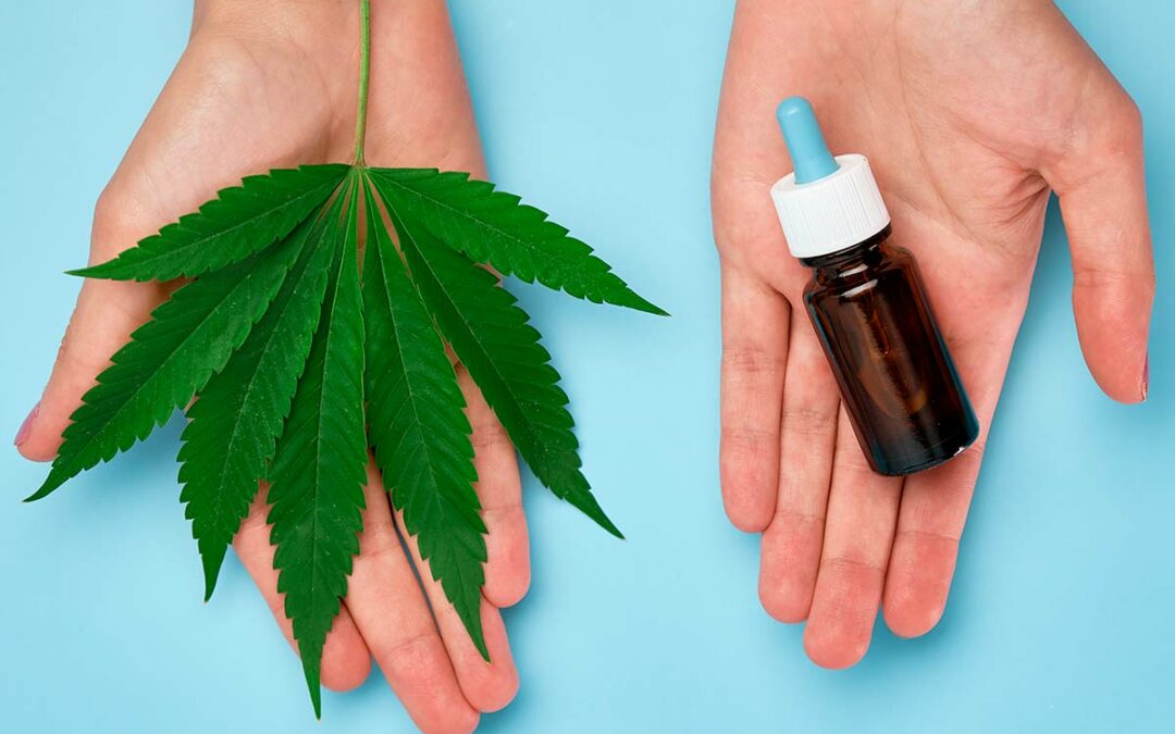 découvrez les bienfaits de l'huile de cbd : apaisement, gestion du stress, amélioration du sommeil et des douleurs. tout savoir sur ses vertus naturelles et son utilisation.