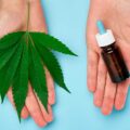découvrez les bienfaits de l'huile de cbd : apaisement, gestion du stress, amélioration du sommeil et des douleurs. tout savoir sur ses vertus naturelles et son utilisation.