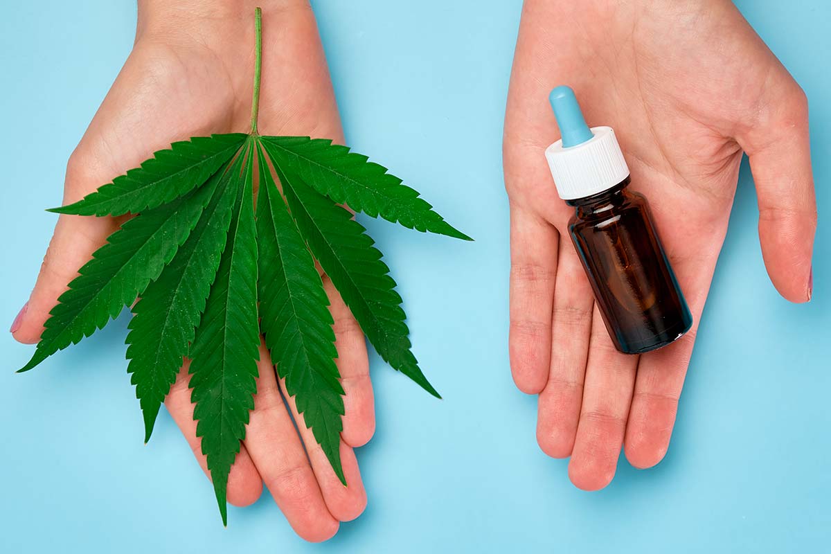 découvrez les bienfaits de l'huile de cbd : apaisement, gestion du stress, amélioration du sommeil et des douleurs. tout savoir sur ses vertus naturelles et son utilisation.