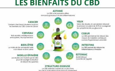 L’huile de CBD : Qu’est-ce que c’est et quels sont ses bienfaits ?