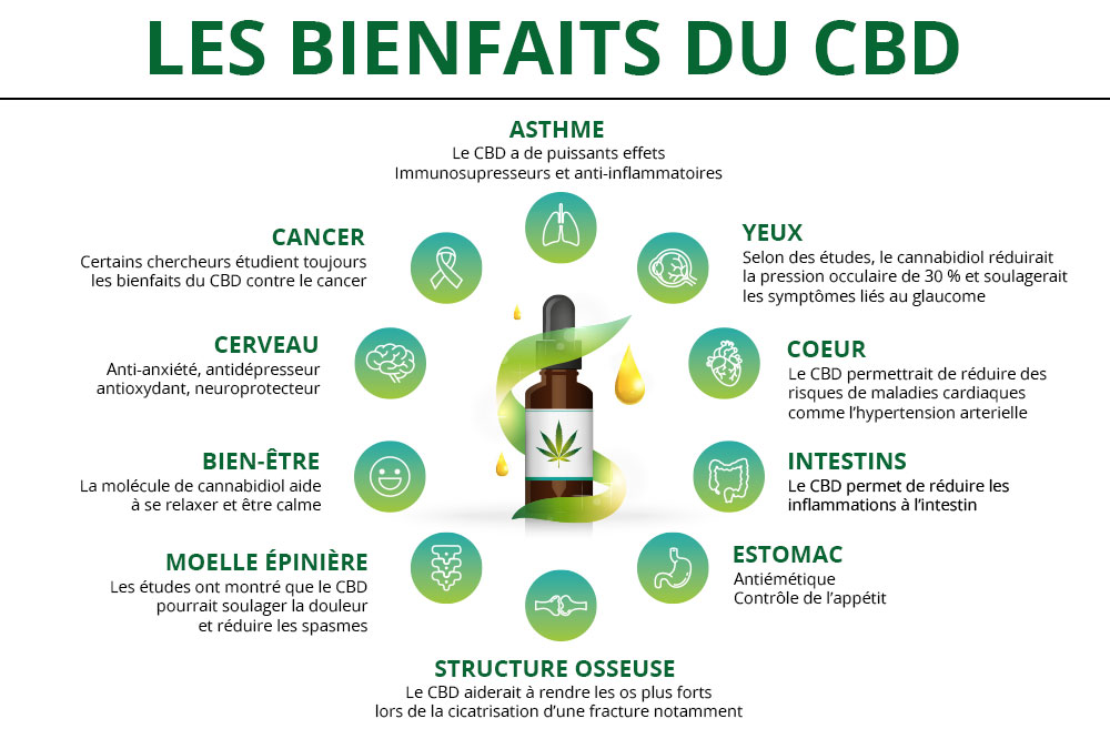 découvrez les bienfaits de l'huile de cbd : propriétés apaisantes, soulagement du stress, amélioration du sommeil et bien plus. informez-vous sur ses usages et ses avantages pour le bien-être au quotidien.