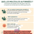 découvrez tout ce qu'il faut savoir sur la légalité du cbd en france, les restrictions en vigueur, et les règles à respecter pour une consommation en toute légalité.