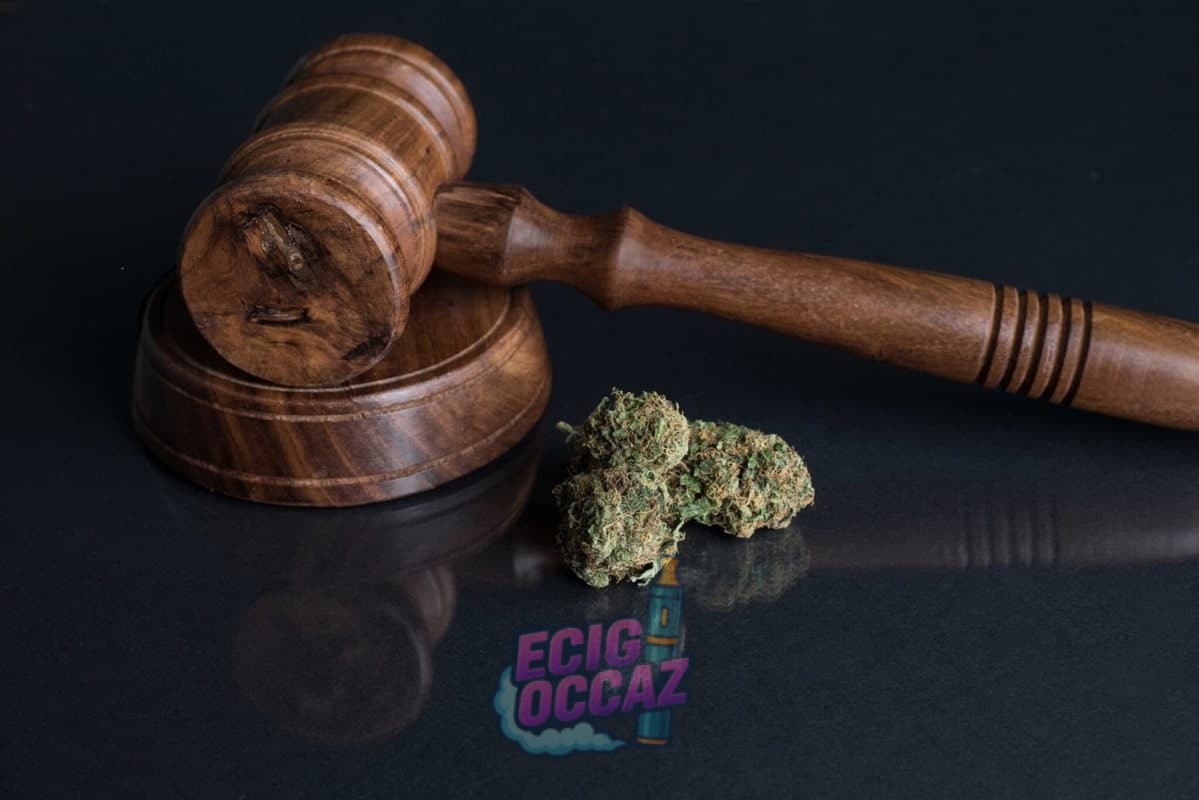 découvrez la légalité du cbd en france, ses restrictions actuelles et ce que la loi permet concernant la consommation et la vente de produits à base de cannabidiol.