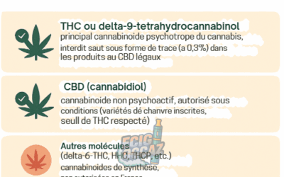 Le CBD en France : démêler la légalité et comprendre les restrictions actuelles