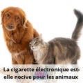 découvrez l'impact de la vape sur la santé animale : informations, conseils et précautions pour protéger vos animaux de compagnie.