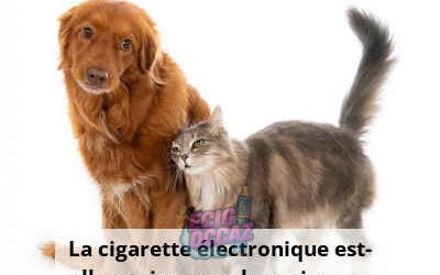 La vape : un risque méconnu pour la santé de vos animaux de compagnie ?