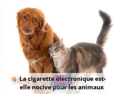 découvrez l'impact de la vape sur la santé animale : informations, conseils et précautions pour protéger vos animaux de compagnie.