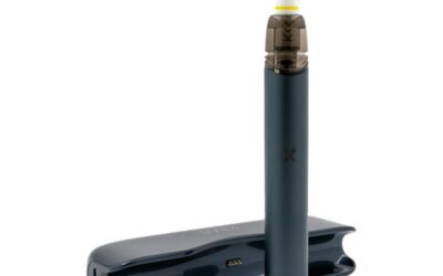 Cigarette électronique : mythe ou réalité sur son impact sur le poids ?