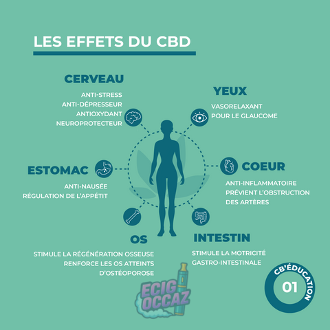 dĂ©couvrez les bienfaits essentiels du cbd sur le bien-ĂȘtre, la gestion du stress, et la santĂ© naturelle grĂące Ă ses propriĂ©tĂ©s apaisantes et anti-inflammatoires.