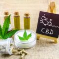découvrez comment le cbd peut influencer les résultats des tests de dépistage et ce que vous devez savoir pour éviter les surprises lors des contrôles.