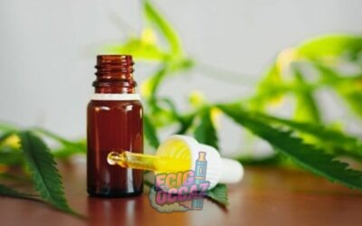 Le CBD : mythe ou réalité de la dépendance ?