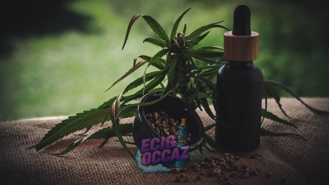 découvrez la réglementation en vigueur concernant la conduite sous l'influence du cbd, ses limites légales et les précautions à prendre.