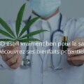 découvrez les effets du cbd sur le corps, ses bienfaits potentiels et comment il peut contribuer à votre bien-être au quotidien.
