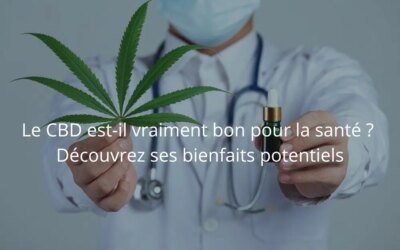 Les effets du CBD sur le corps : comprendre son mécanisme d&rsquo;action