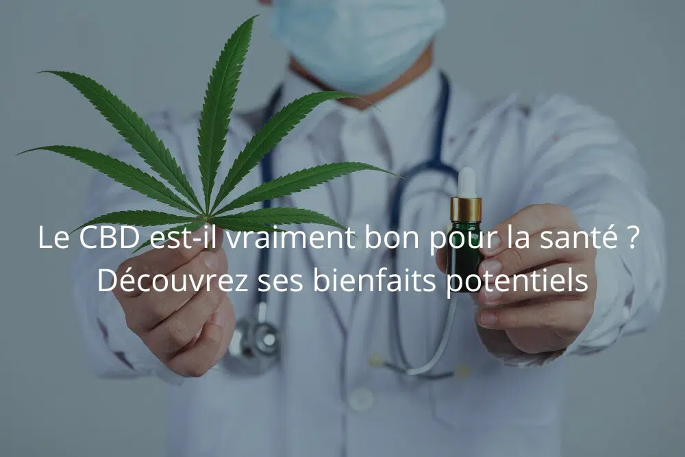 découvrez les effets du cbd sur le corps, ses bienfaits potentiels et comment il peut contribuer à votre bien-être au quotidien.