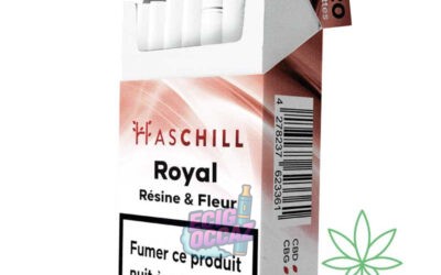 Est-il possible d’associer nicotine et CBD en toute sécurité ?