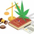 découvrez tout ce qu'il faut savoir sur la législation du cbd en france : cadre légal, règles en vigueur et conseils pour rester conforme.