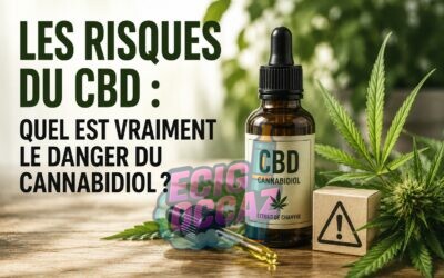 Les risques du CBD : Quel est vraiment le danger du cannabidiol ?
