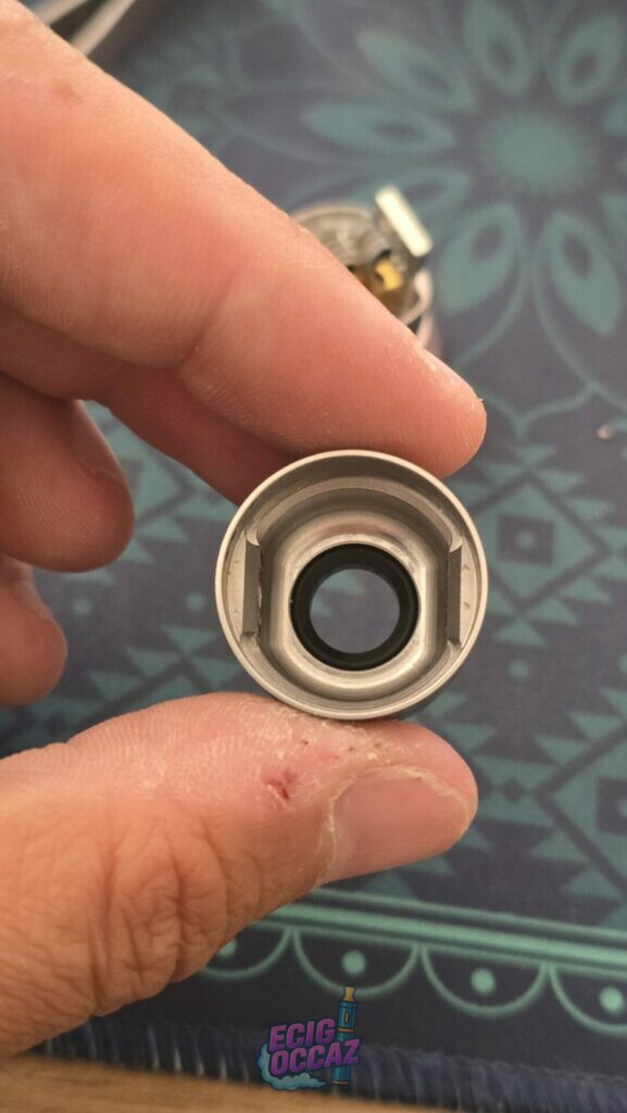 Dead rabbit v4 rda