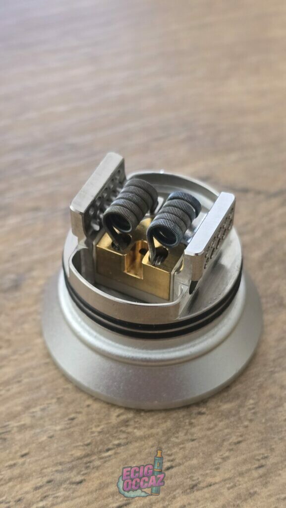 Dead rabbit v4 rda