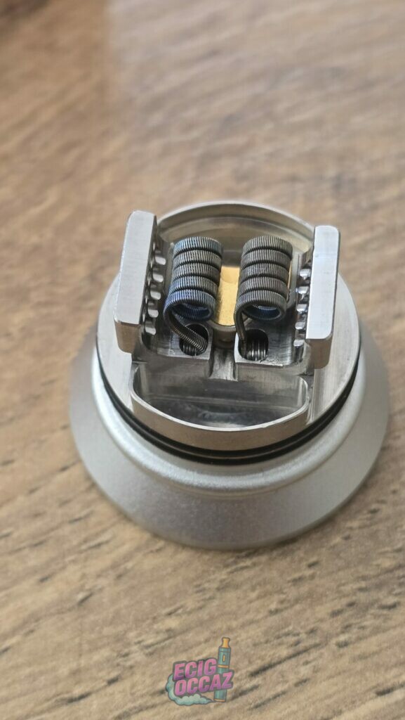 Dead rabbit v4 rda
