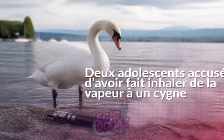 Un cygne au bord de l’eau près d’une cigarette électronique et d’un léger nuage de vapeur