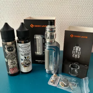 GEEKVAPE M100 GRISE