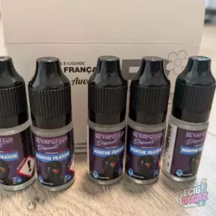 Eliquide le vapoteur discount menthe fraîche