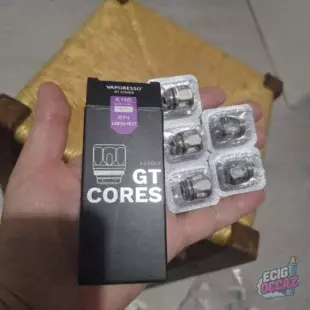 5 coils GT4 meshed cores