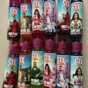 12 Flacons LEVEST Six Vape